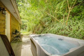 Bear Clubhouse Hot Tub, 1Mile from the Parkway, 900 in FREE Tickets!